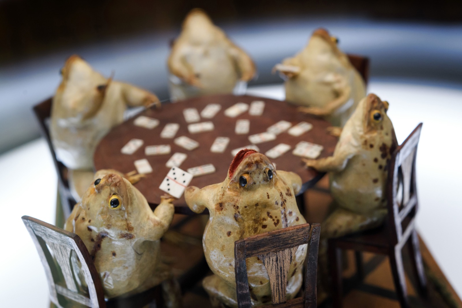  Frog-Playing-Card-at-Frog-Museum-in-Estavayer-le-Lac-western-Switzerland-FABRICE-COFFRINI-AFP-Getty-Images-thechicflaneuse