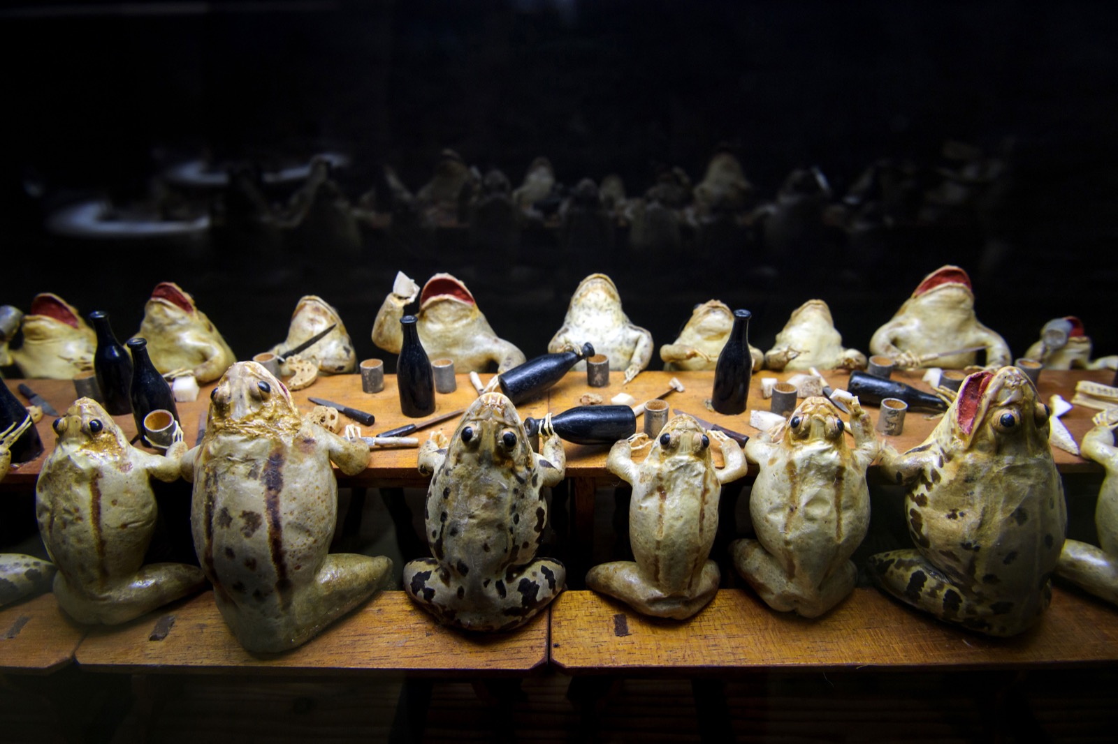 Frogs-attending-a-banquet-at-the-Frog-Museum-in-Estavayer-le-Lac-western-Switzerland-FABRICE-COFFRINI-AFP-Getty-Images-thechicflaneuse