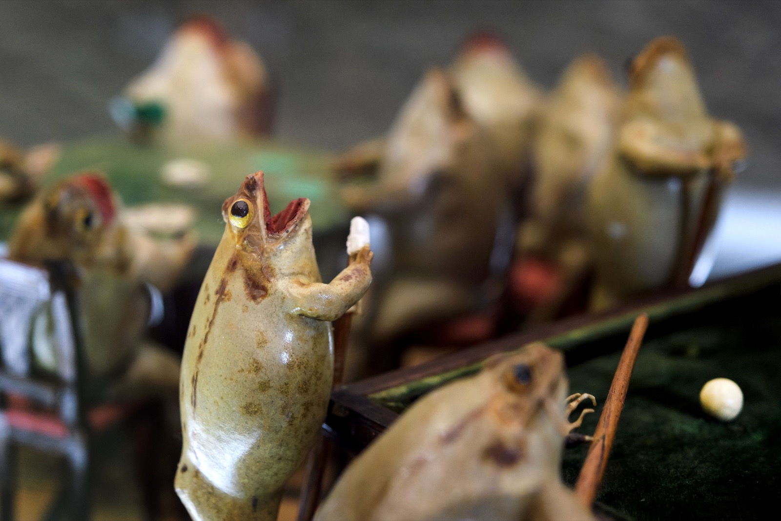 Frogs-palying-billiards-at-The-Frog-Museum-in-Estavayer-le-Lac-western-Switzerland-FABRICE-COFFRINI-AFP-Getty-Images-thechicflaneuse