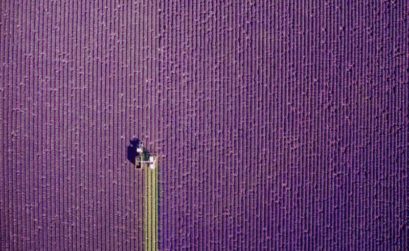 Provence Summer Trim Dronestagram 2017