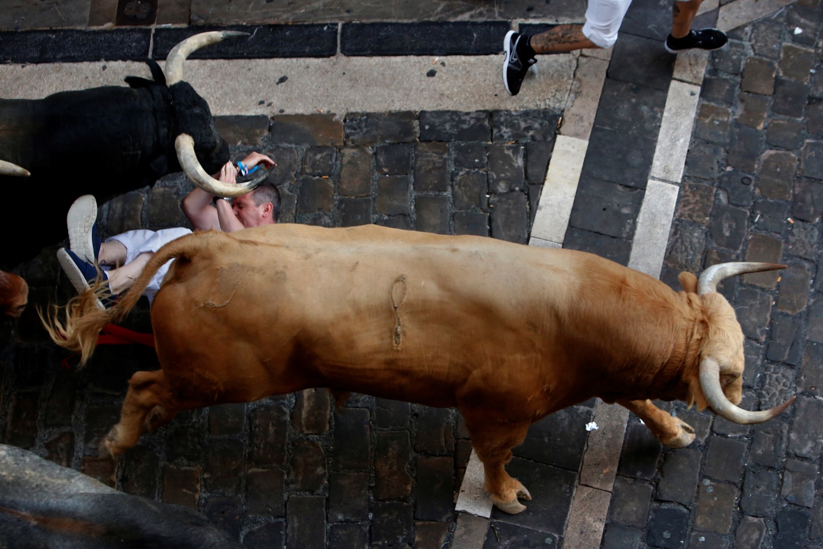 The Running of the bulls in Pamplona San Fermin Fest