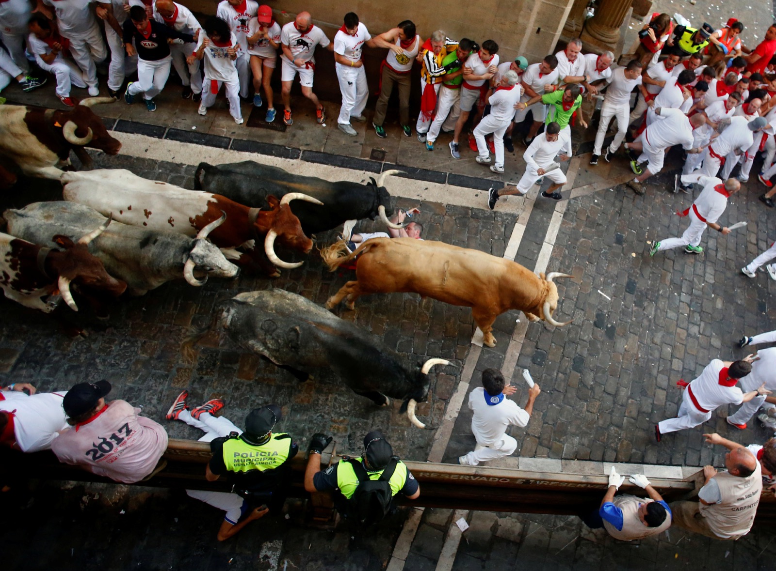 Running of the bulls Pamplona