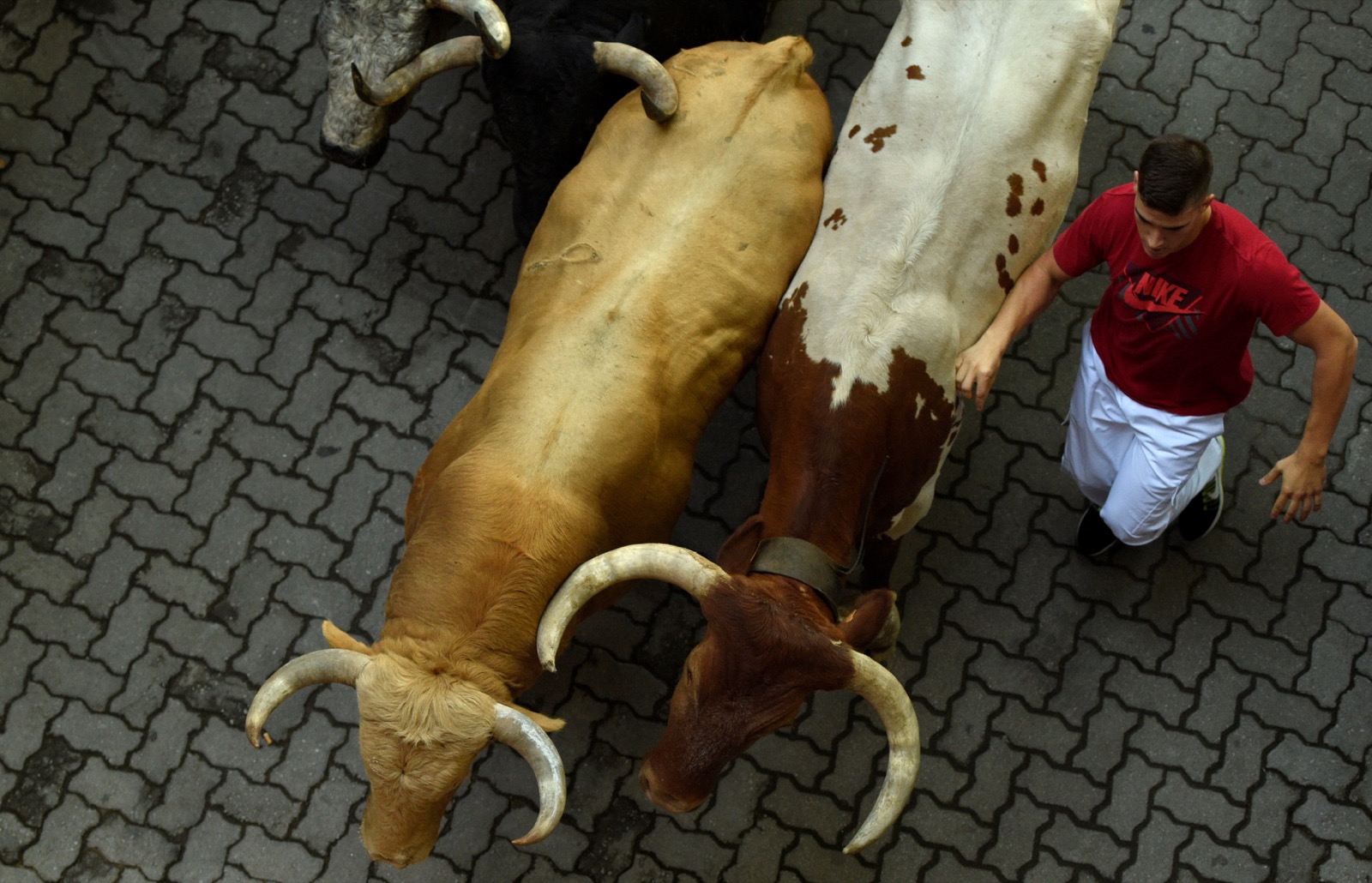 Running of the bulls Pamplona
