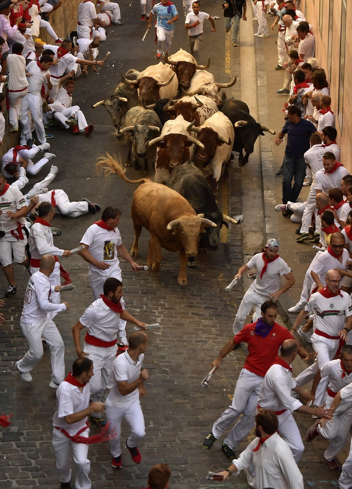 The runnings of the bulls Pamplona