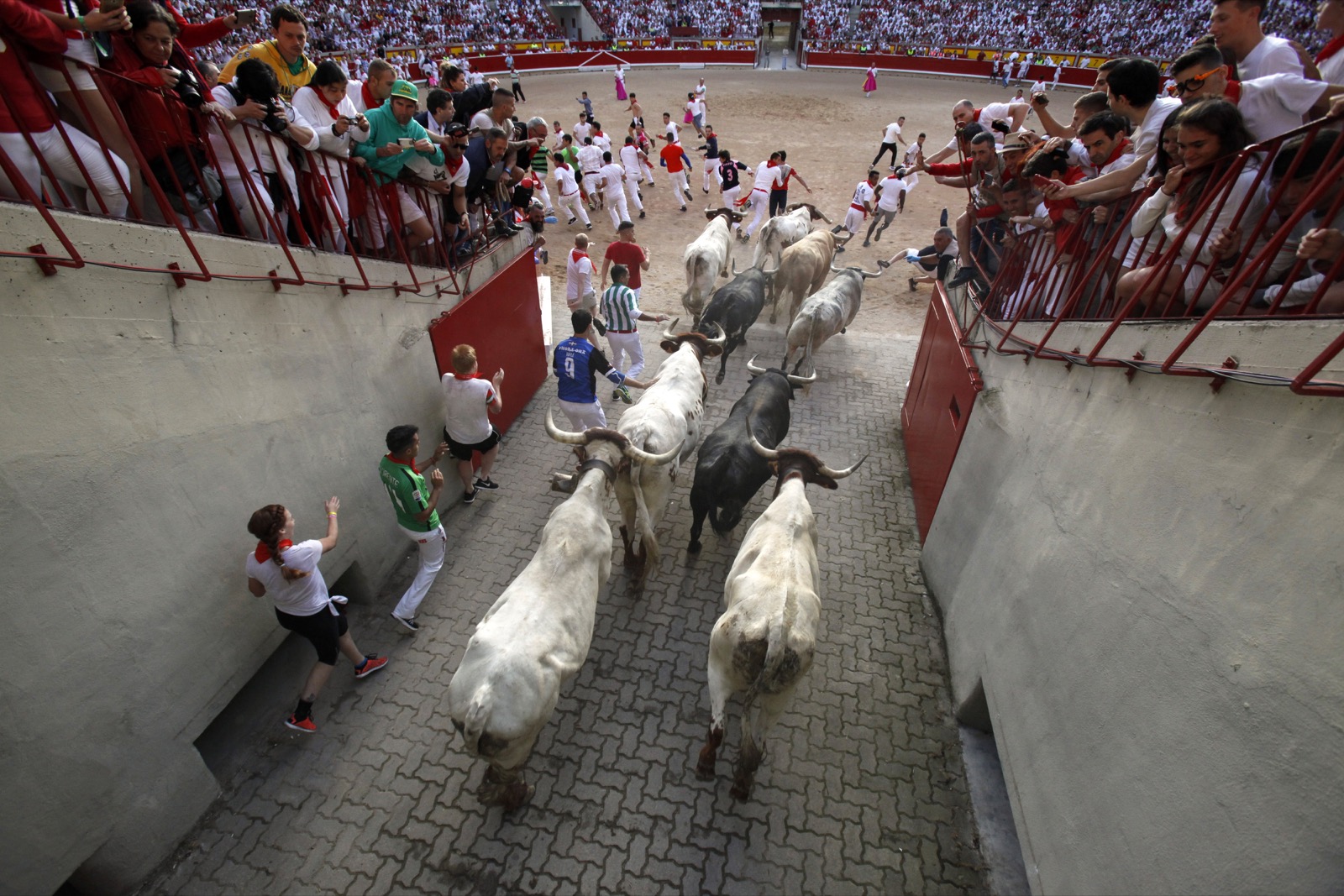 The running of the bulls Pamplona