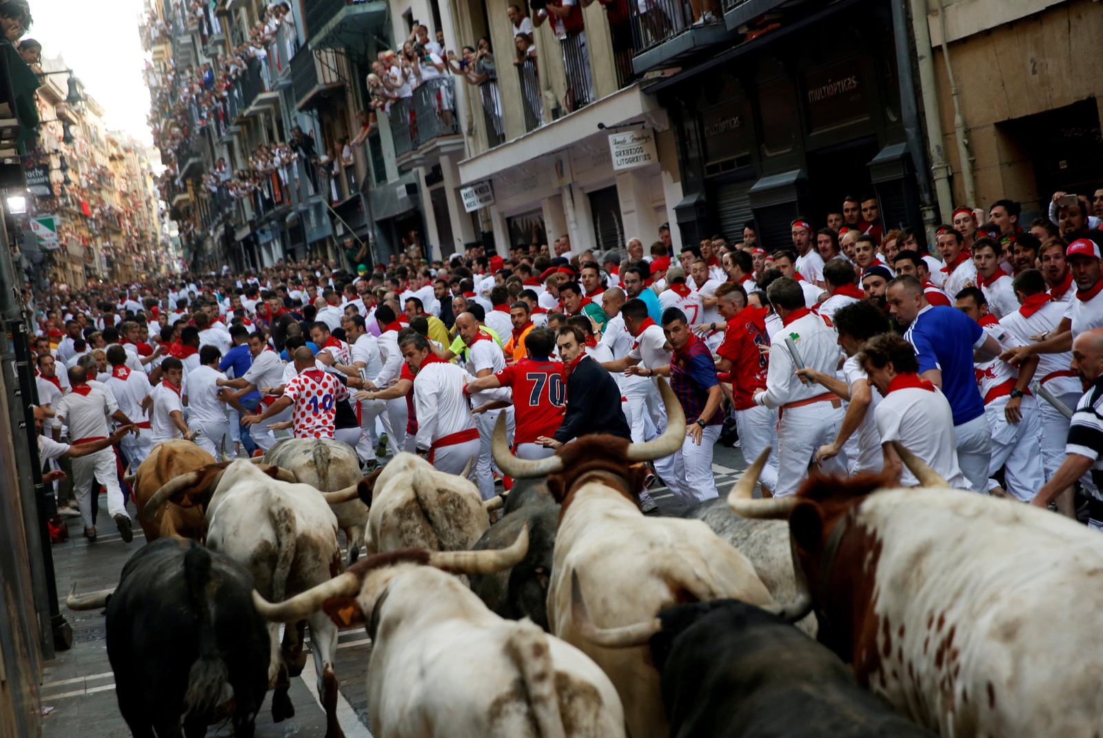 Running of the bulls Pamplona