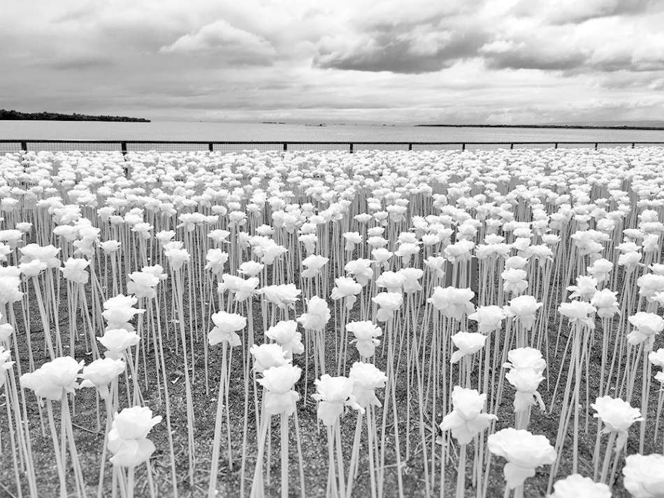  Sidney Po Cebu, Philippines 1st Place – Floral