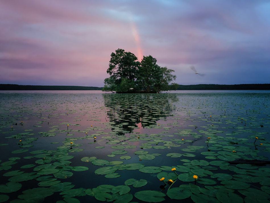 Aaron Sandberg Chicago IL, United States 1st Place – Nature