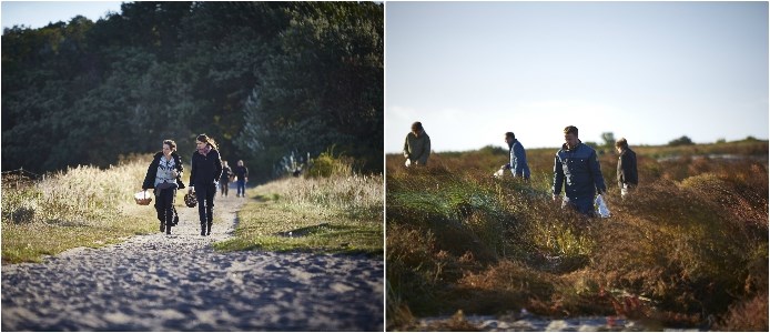 Vild Mad foraging app