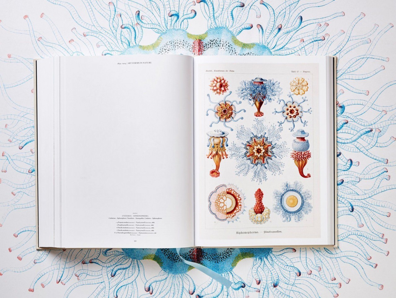 of the Art and Science of Ernest Haeckel