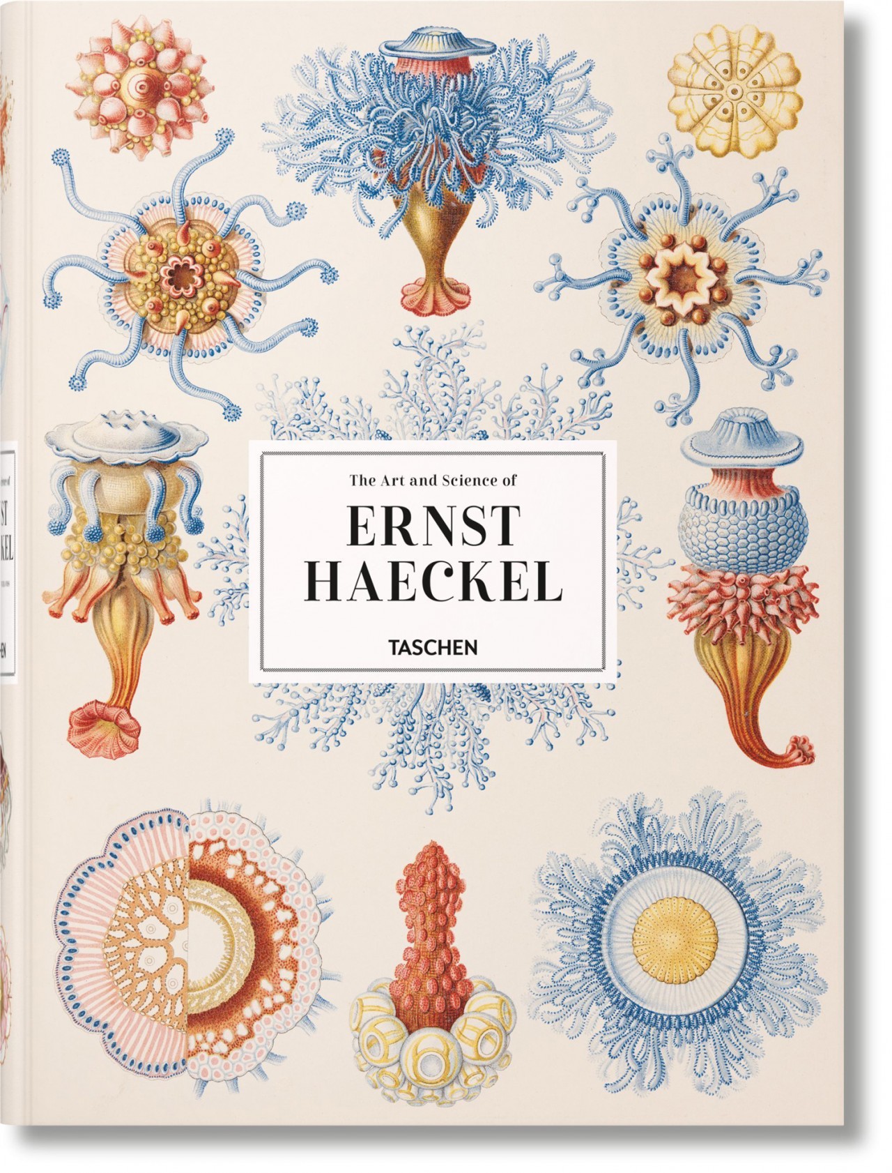 of the Art and Science of Ernest Haeckel