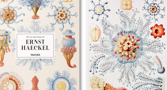 of the Art and Science of Ernest Haeckel